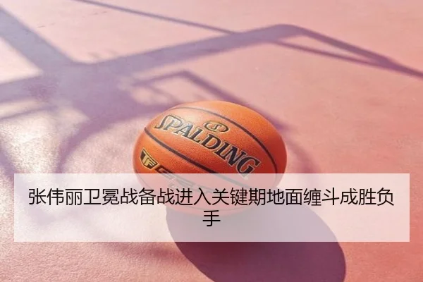 张伟丽卫冕战备战进入关键期地面缠斗成胜负手